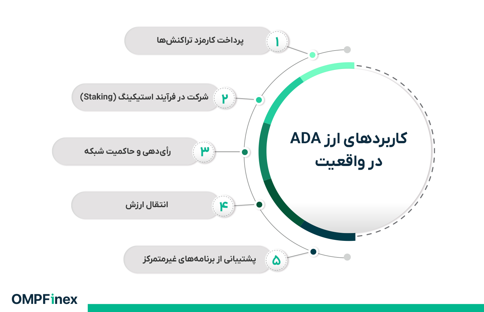 کاربردهای کاردانو چیست