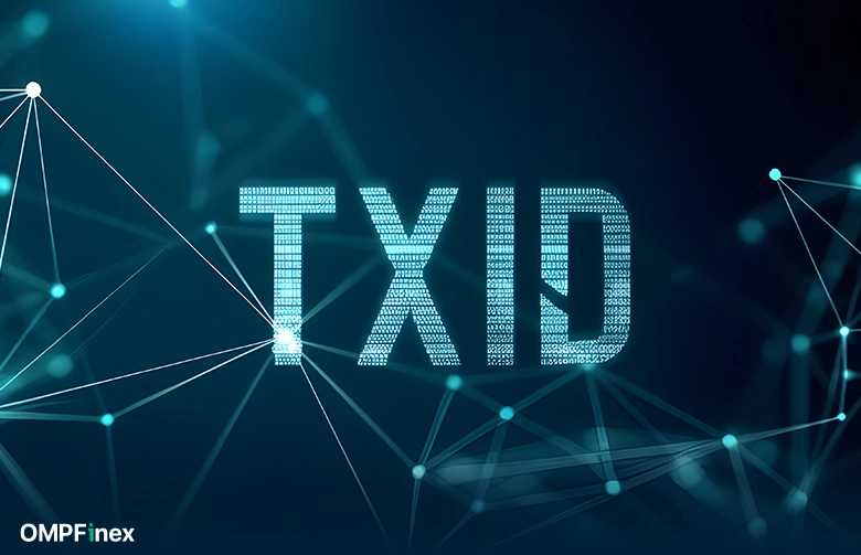 نحوه پیگیری تراکنش ارز دیجیتال؛ TXID یا شناسه تراکنش چیست؟