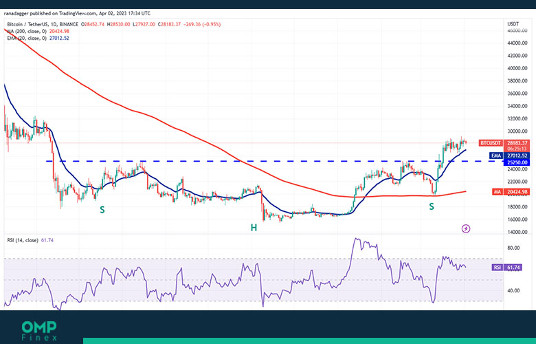 bitcoin 1d chart