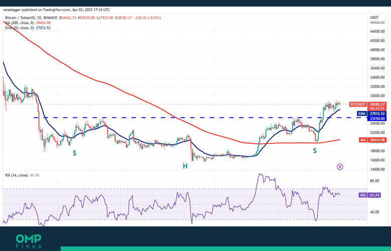 bitcoin 1d chart