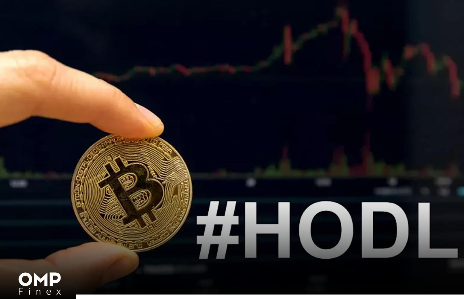 شاخص HODL Wave در تحلیل آنچین چیست؟