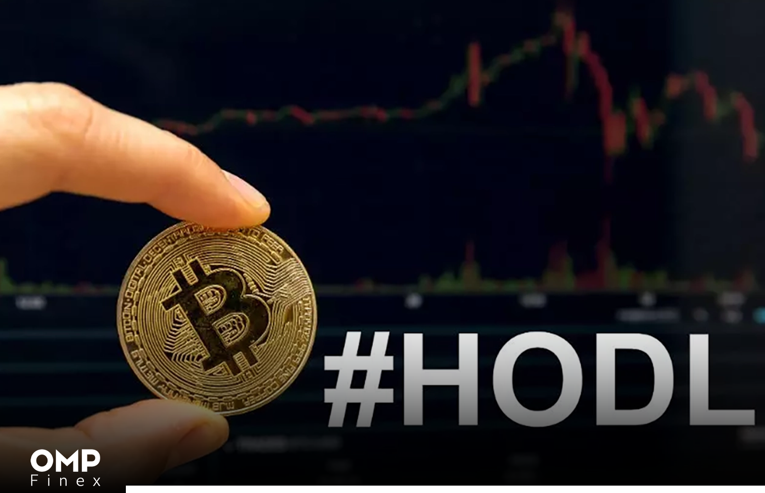 شاخص‌ HODL Wave در تحلیل آنچین چیست‌؟