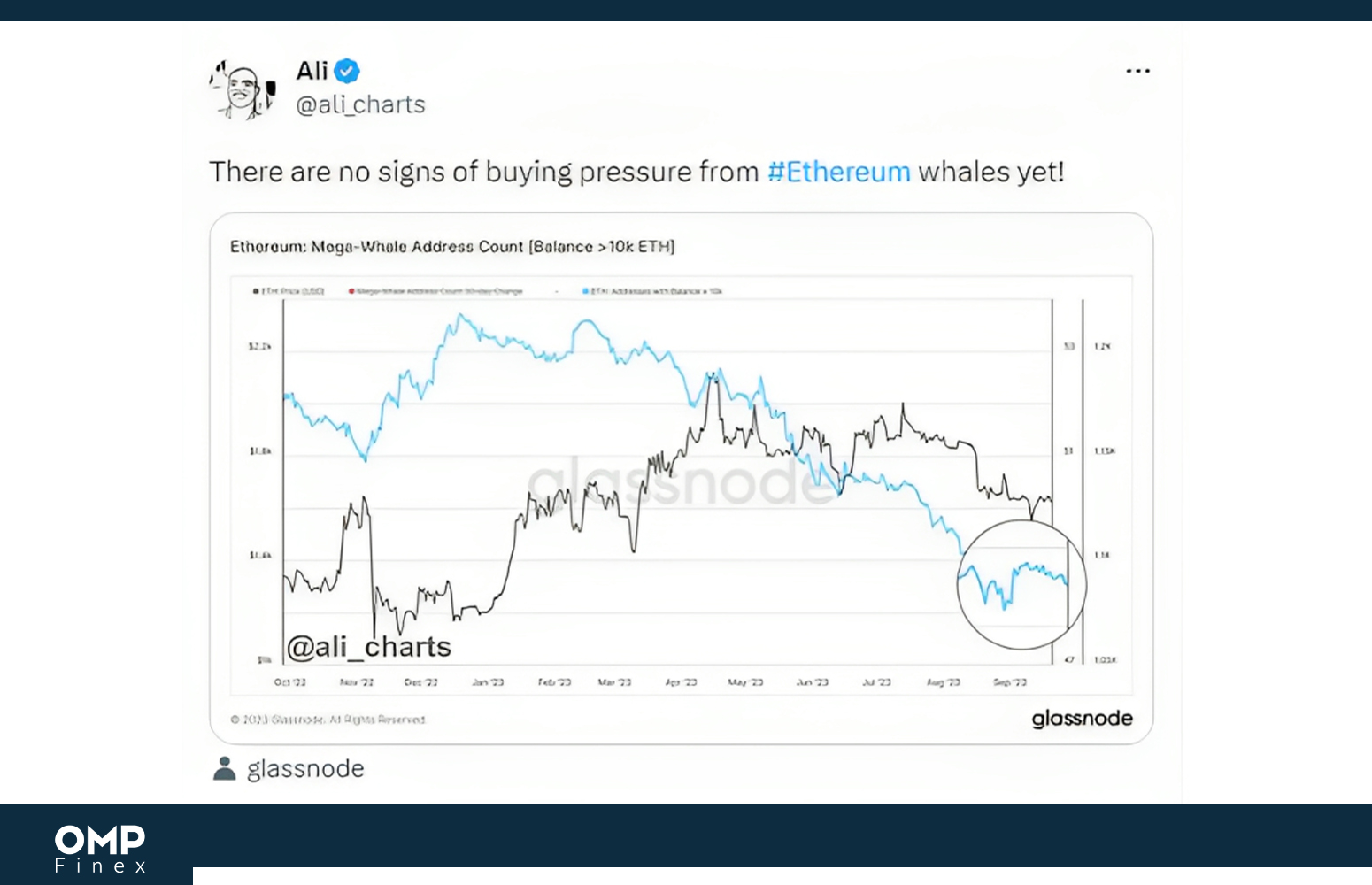 توییت: هیچگونه فشار خریدی از طرف نهنگ‌ها وجود ندارد