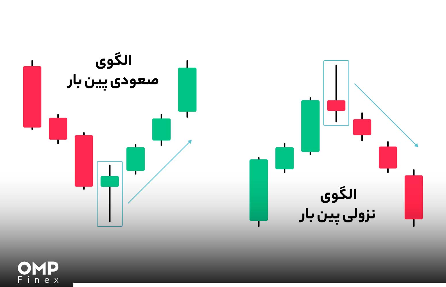 کندل چیست؟ کندل شناسی در تحلیل تکنیکال + معرفی 8 کندل مهم صرافی او ام پی فینکس