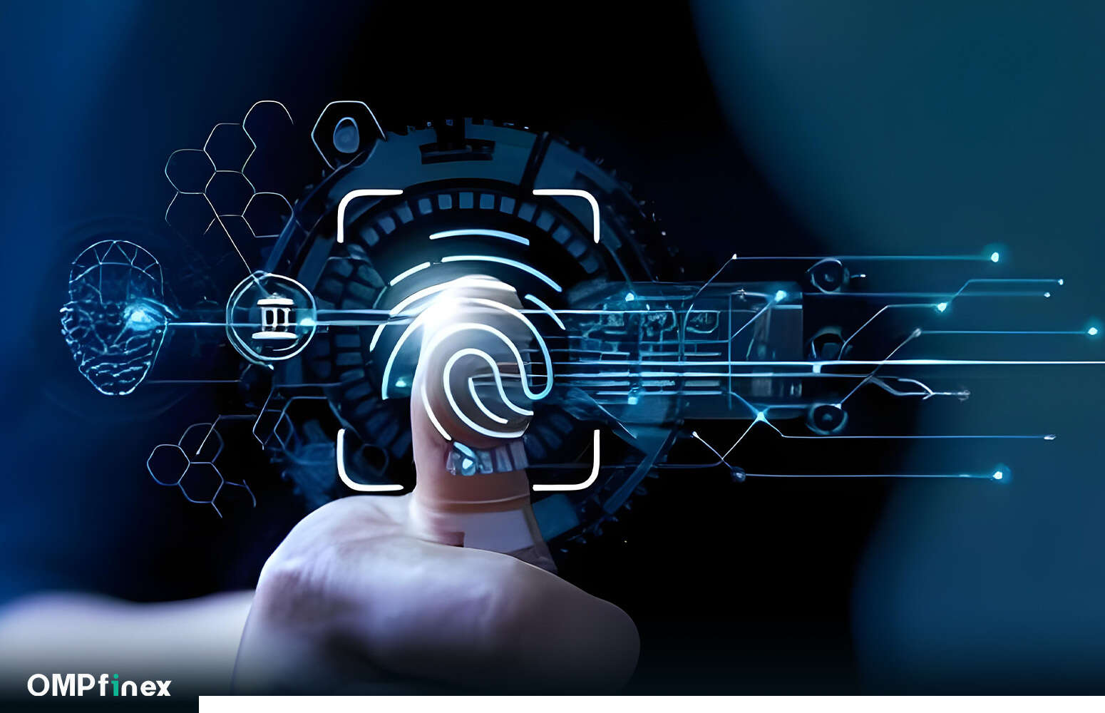 آموزش مبتدی ارز دیجیتال