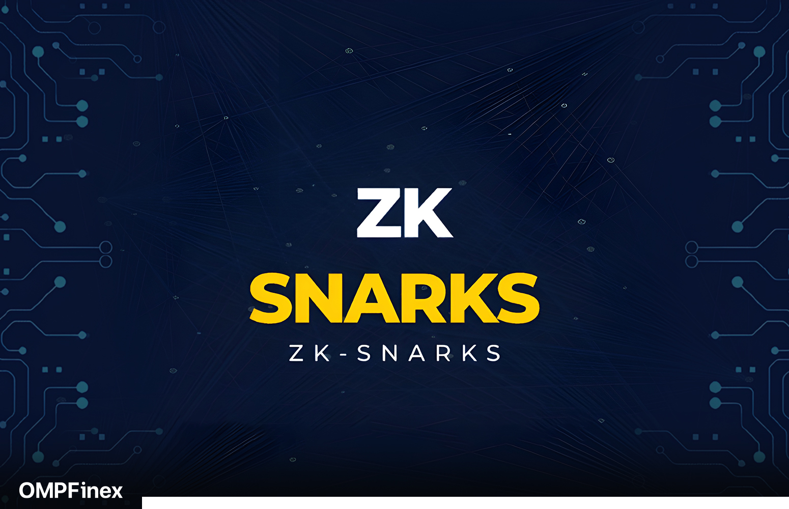 الگوریتم zk-snark