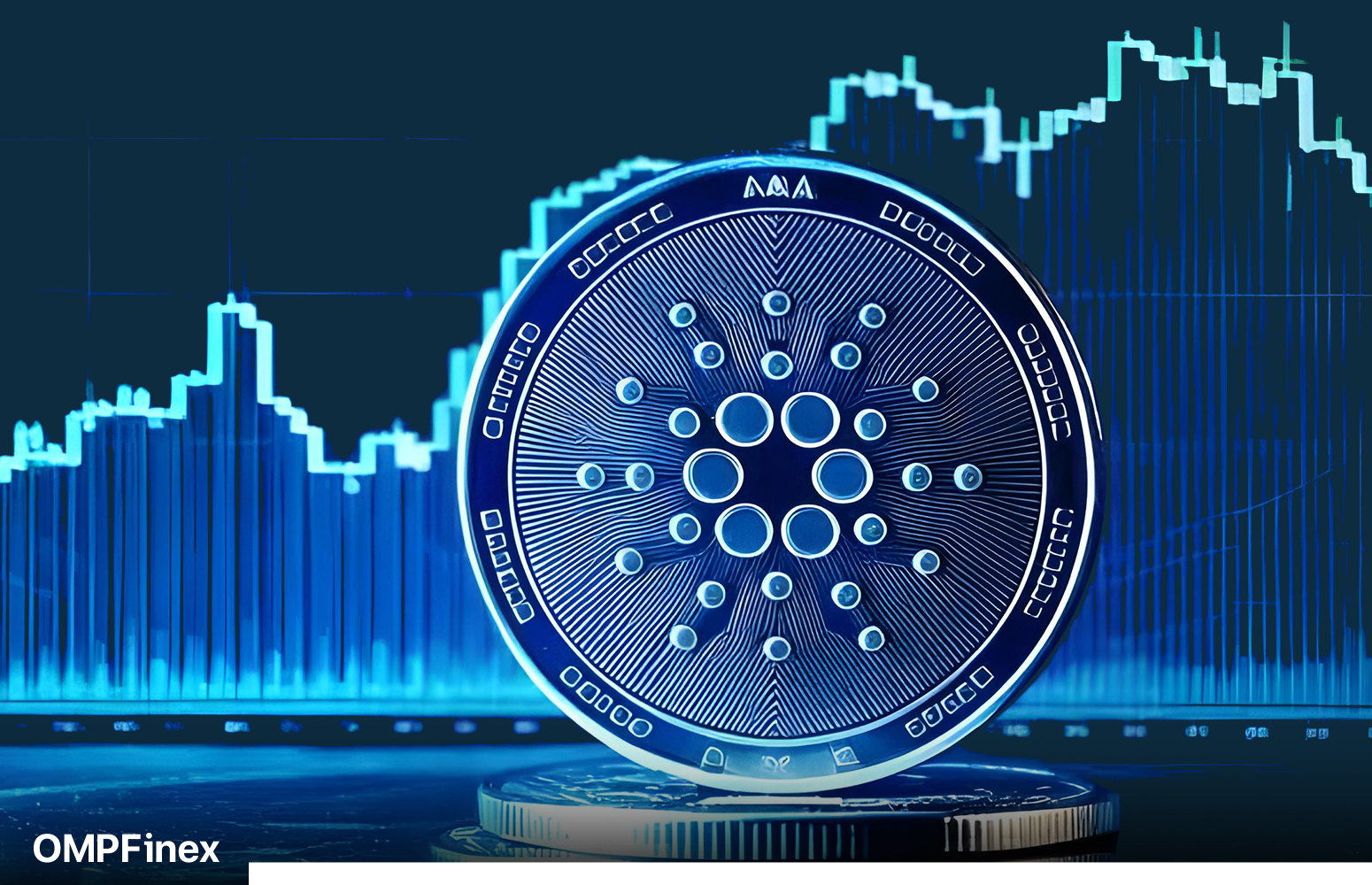 بررسی روند قیمت کاردانو در سال 2025