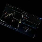 تصویر amir norouzi