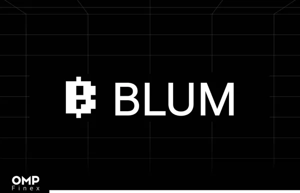 راهنمای کامل ایردراپ بلوم Blum و آموزش بازی بلوم