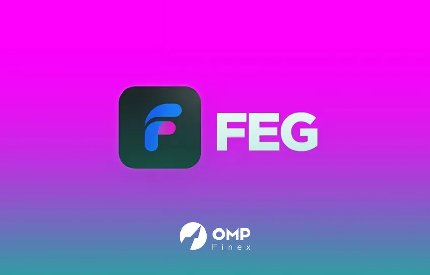 کیف پول ارز دیجیتال فگ