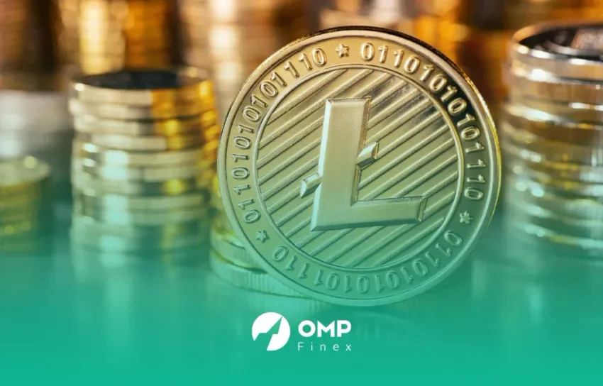 قیمتلایتوین