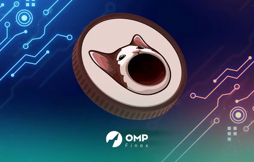 خرید ارز پاپ کت